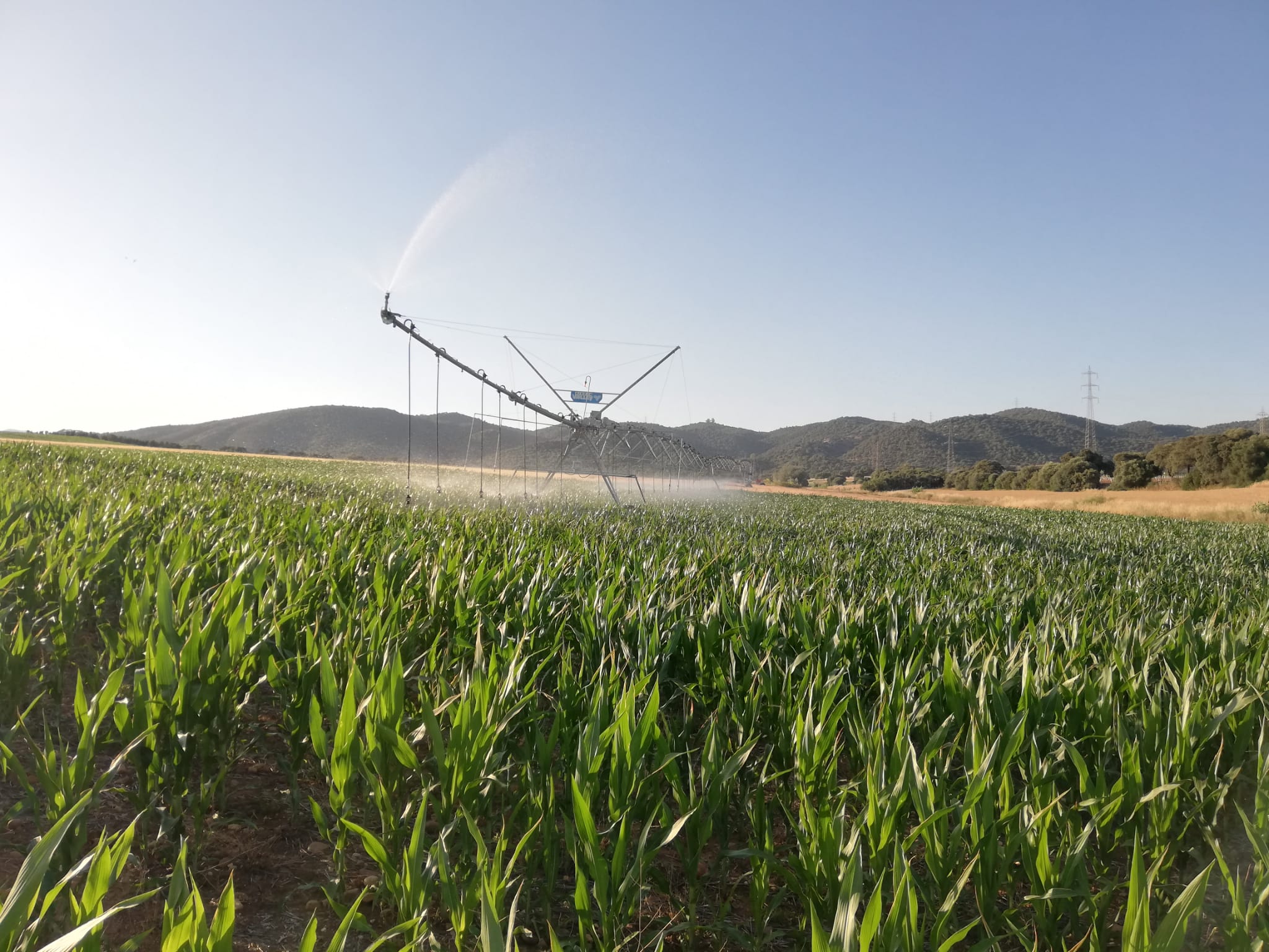 Irrigation facilities at Rabanales Experimental Farm 1